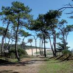 Camping La Ventouse - Jard-sur-Mer / Sud Vendée