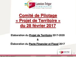 Comité de Pilotage du 28 février 2017 - " Projet de Territoire " Elaboration du Projet de Territoire 2017-2020