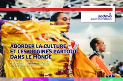 ABORDER LA CULTURE ET LES ORIGINES PARTOUT DANS LE MONDE - Leçons de l'Australie, du Brésil, du Canada, du Royaume-Uni et des États-Unis - Sodexo Net