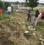 1993 BERRY Nad&egrave;ge, CORTINOVOS Cl&eacute;mentine - Mairie de Chalamont