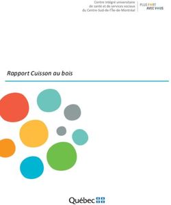 Rapport Cuisson au bois - Santé Montréal