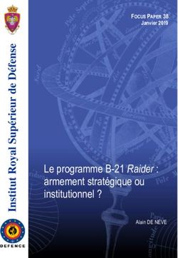 Le programme B-21 Raider : armement stratégique ou institutionnel ? - FOCUS PAPER 38