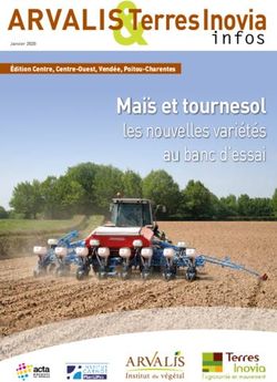 ARVALIS Terres Inovia - infos Maïs et tournesol