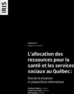 L'allocation des ressources pour la sant&eacute; et les services sociaux au Qu&eacute;bec : &Eacute;tat de la situation et propositions alternatives - Iris
