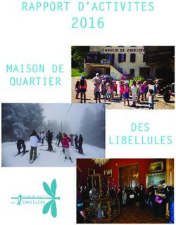 2016 RAPPORT D'ACTIVITES - MAISON DE QUARTIER - Maison de Quartier des Libellules