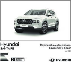 Hyundai SANTA FE Caractéristiques techniques, Equipements & Tarif - Garage Jean Cauvin