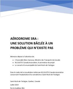 AÉRODROME SRA : UNE SOLUTION BÂCLÉE À UN PROBLÈME QUI N'EXISTE PAS - non-aerodrome.ca