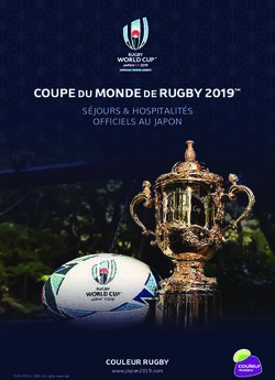 COUPE DU MONDE DE RUGBY 2019 - SÉJOURS & HOSPITALITÉS OFFICIELS AU JAPON - COULEUR RUGBY