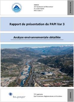 Rapport de présentation du PAPI Var 3 Analyse environnementale détaillée - SMIAGE