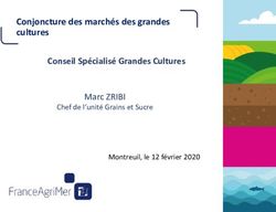 Conjoncture des marchés des grandes cultures Conseil Spécialisé Grandes Cultures - Marc ZRIBI - FranceAgriMer
