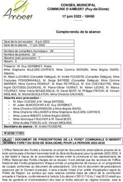 CONSEIL MUNICIPAL COMMUNE D'AMBERT (Puy-de-D&ocirc;me) 17 juin 2022 - 19H00 Compte-rendu de la s&eacute;ance