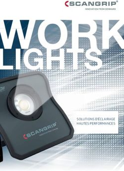 LIGHTS SOLUTIONS D'ÉCLAIRAGE HAUTES PERFORMANCES - Scangrip A/S