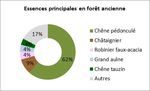 Forêts présumées anciennes de la vallée de l' adour