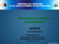 SITUATION DES MPME A MADAGASCAR GENEVE - 31 OCTOBRE 2017 Pr&eacute;sentation du MINISTERE DE L'INDUSTRIE ET DU