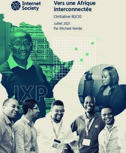 Vers une Afrique interconnect&eacute;e - L'Initiative 80/20 Juillet 2021 Par Michael Kende - Internet Society