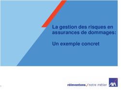 La gestion des risques en assurances de dommages: Un exemple concret