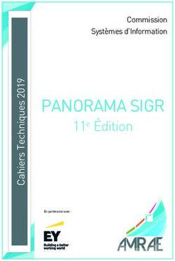 PANORAMA SIGR 11e Édition - Commission Systèmes d'Information - EY