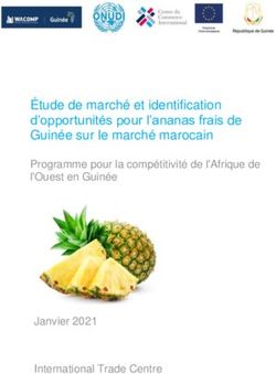 Étude de marché et identification d'opportunités pour l'ananas frais de Guinée sur le marché marocain - Janvier 202