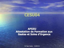 CESU04 AFGSU Attestation De Formation Aux Gestes Et Soins D'Urgence ...