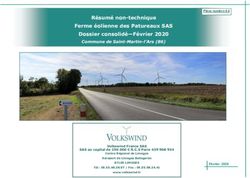 Résumé non-technique Ferme éolienne des Patureaux SAS Dossier consolidé-Février 2020