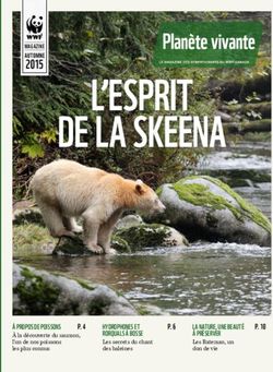 L'ESPRIT DE LA SKEENA - WWF-Canada