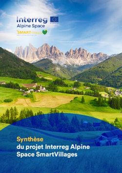 Synth&egrave;se du projet Interreg Alpine Space SmartVillages