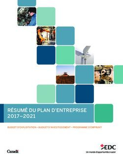 RÉSUMÉ DU PLAN D'ENTREPRISE - 2017-2021 BUDGET D'EXPLOITATION BUDGET D'INVESTISSEMENT PROGRAMME D'EMPRUNT - Export ...