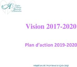 Vision 2017-2020 Plan d'action 2019-2020 - Adopt&eacute; lors de l'AGA tenue le 4 juin 2019 - Centre d'action b&eacute;n&eacute;vole Montcalm