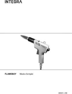 FLAMEBOY Mode d'emploi - 465051_V06 - Integra Biosciences