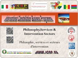 Philosophy,Services & Intervention Sectors - Philosophie, services et secteurs d'intervention - ICBP
