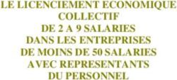 LE LICENCIEMENT ECONOMIQUE COLLECTIF DE 2 A 9 SALARIES DANS LES ENTREPRISES DE MOINS DE 50 SALARIES AVEC REPRESENTANTS DU PERSONNEL