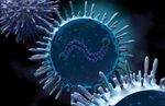 Perspectives vaccinales - Odile Launay Infectiologie, H&ocirc;pital Cochin Cours d'Automne en Chimiotherpaie anti infectieuse et vaccinologie