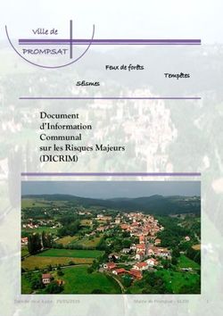 Document d'Information Communal sur les Risques Majeurs - (DICRIM) - PROMPSAT Ville de