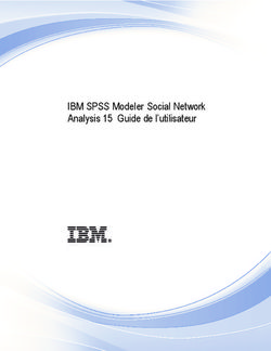 IBM SPSS Modeler Social Network Analysis 15 Guide de l'utilisateur
