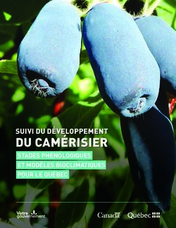 DU CAM&Eacute;RISIER SUIVI DU D&Eacute;VELOPPEMENT - Agri-R&eacute;seau