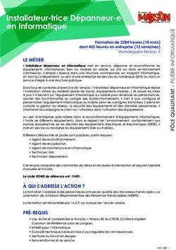 Installateur-trice D&eacute;panneur-e en Informatique - Centre ...