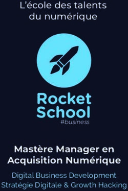 Mast&egrave;re Manager en Acquisition Num&eacute;rique - Digital Business Development - L'&eacute;cole des talents