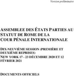 ASSEMBLEE DES &Eacute;TATS PARTIES AU STATUT DE ROME DE LA COUR P&Eacute;NALE INTERNATIONALE - DIX-NEUVI&Egrave;ME SESSION (PREMI&Egrave;RE ET DEUXI&Egrave;ME REPRISES) NEW YORK 17 ...