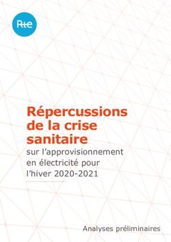 Répercussions de la crise sanitaire - sur l'approvisionnement en électricité pour l'hiver 2020-2021 - RTE