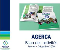 AGERCA Bilan des activit&eacute;s - Janvier - D&eacute;cembre 2020 - Connecting Business initiative