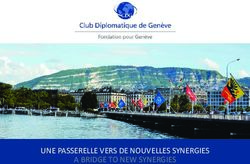 UNE PASSERELLE VERS DE NOUVELLES SYNERGIES A BRIDGE TO NEW SYNERGIES