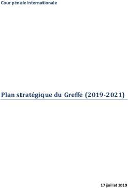 Plan stratégique du Greffe (2019-2021) - Cour pénale internationale - 17 juillet 2019