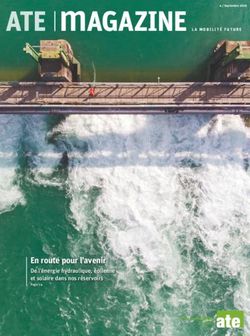 MAGAZINE ATE - ATE Association transports et ...