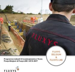 FLUXYS BELGIUM FLUXYS LNG - Programme indicatif d'investissements à 10 ans Fluxys Belgium & Fluxys LNG