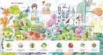 AUTUMN 2018 FOREIGN RIGHTS CATALOGUE - Syllabes Agency
