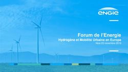 Forum de l'Energie Hydrog&egrave;ne et Mobilit&eacute; Urbaine en Europe Nice 23 novembre 2018