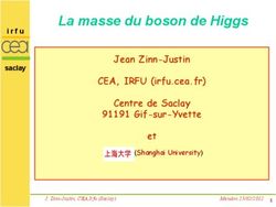 La masse du boson de Higgs - Jean Zinn-Justin CEA, IRFU (irfu.cea.fr) Centre de Saclay 91191 Gif-sur-Yvette et