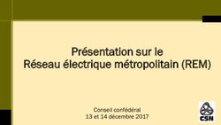 Présentation sur le Réseau électrique métropolitain (REM) - Conseil confédéral 13 et 14 décembre 2017 - CSN