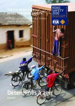 D&eacute;termin&eacute;s &agrave; agir - THE FIA HIGH LEVEL PANEL FOR ROAD SAFETY Groupe consultatif de haut niveau pour la s&eacute;curit&eacute; routi&egrave;re - Road safety 2030
