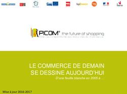 LE COMMERCE DE DEMAIN SE DESSINE AUJOURD'HUI - D'une feuille blanche en 2005 &agrave; Mise &agrave; jour 2016-2017 - Picom